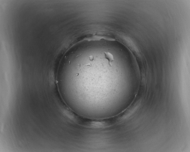 X0000112390457200908201545