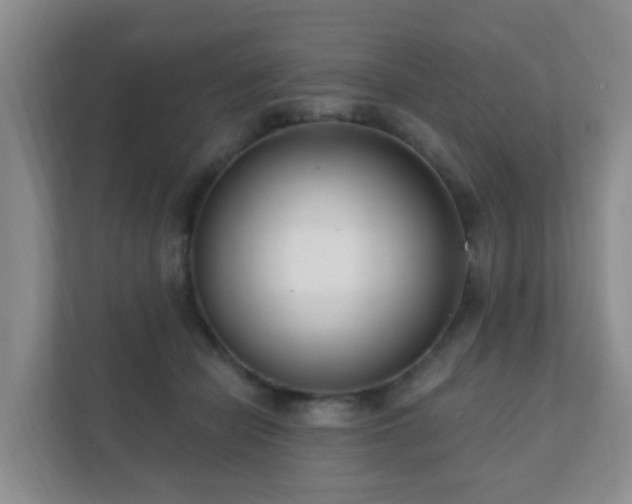 X0000112390462200908201546