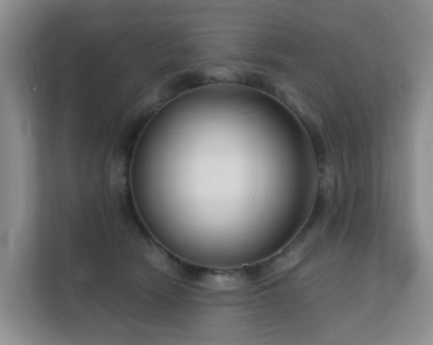 X0000112390466200908201546