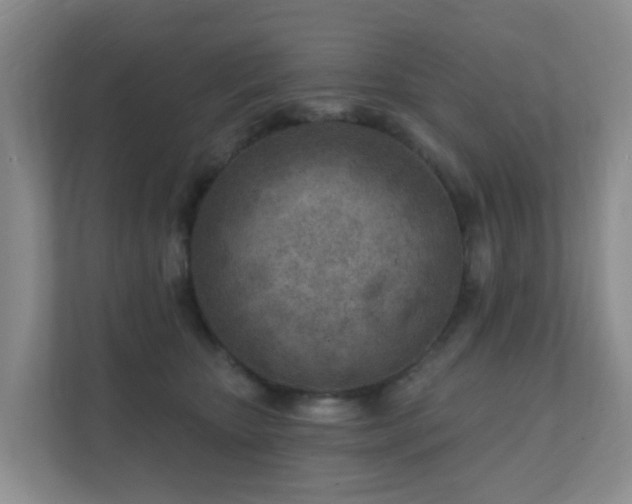 X0000112390467200908201546