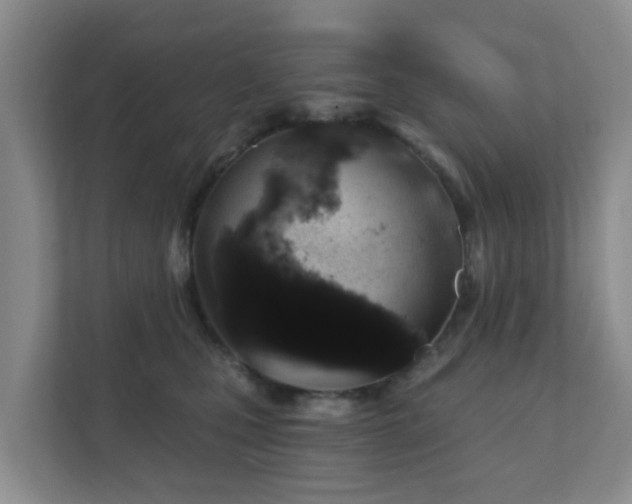 X0000112390471200908201546