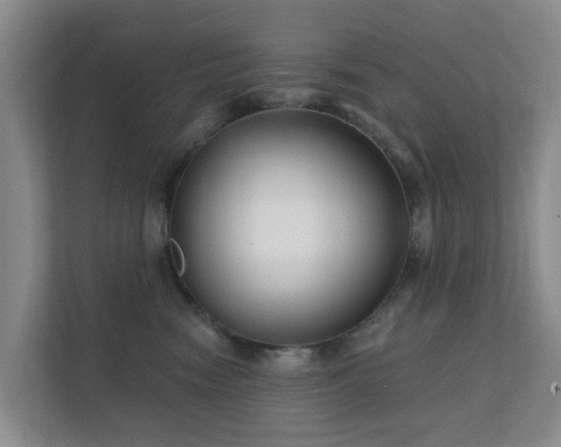 X0000112390474200908201546