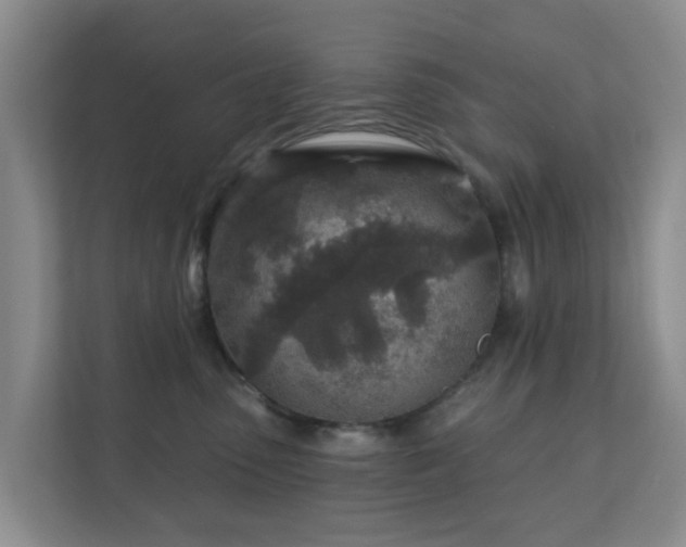 X0000112390475200908201546