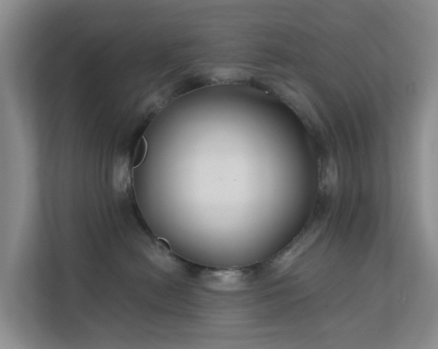 X0000112390478200908201546