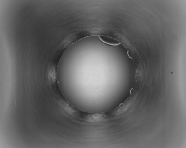 X0000112390479200908201546