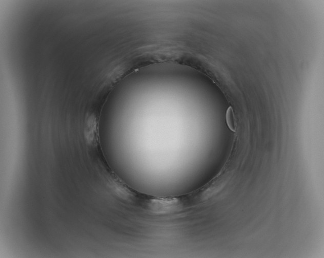 X0000112390480200908201546