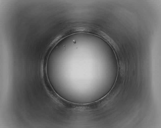 X0000112390482200908201545