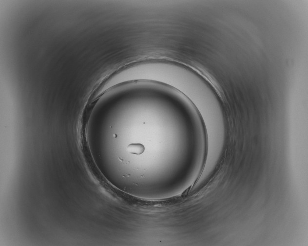 X0000112390485200908201545