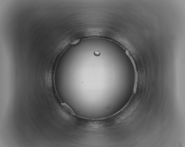 X0000112390489200908201545