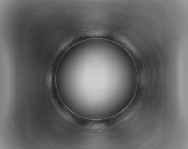 X0000112390491200908201545