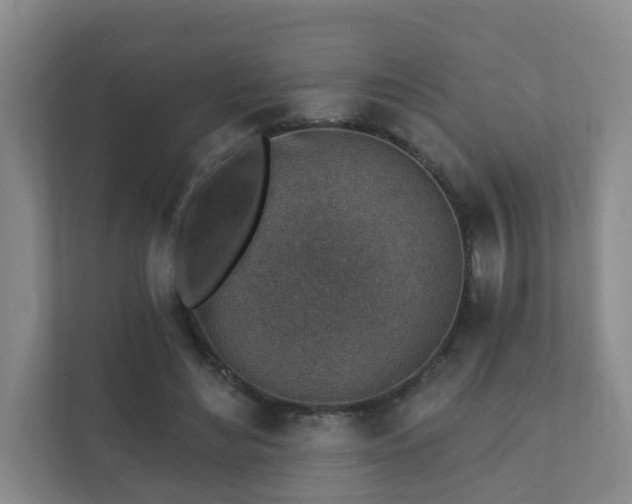 X0000112390492200908201545