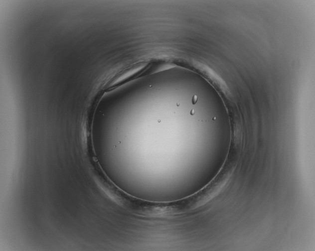 X0000112390493200908201545