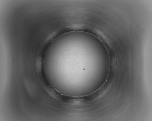 X0000112390495200908201545