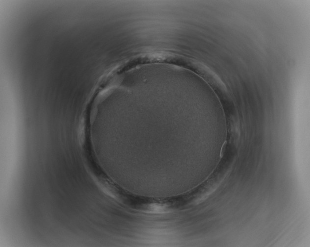 X0000112390496200908201545