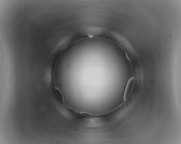 X0000112390501200908201545