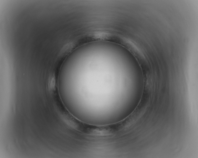 X0000112390502200908201545