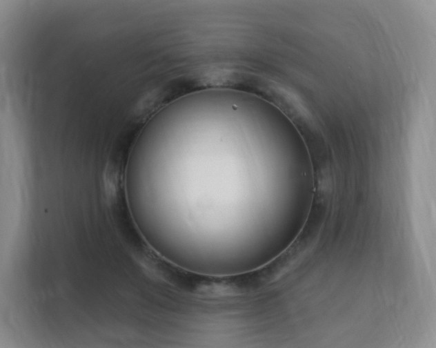 X0000112390503200908201545