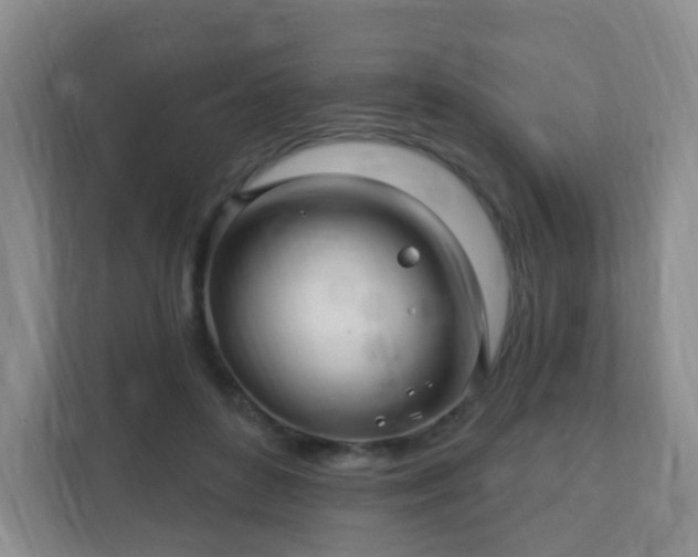 X0000112390504200908201545