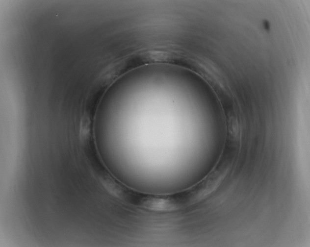 X0000112390507200908201545