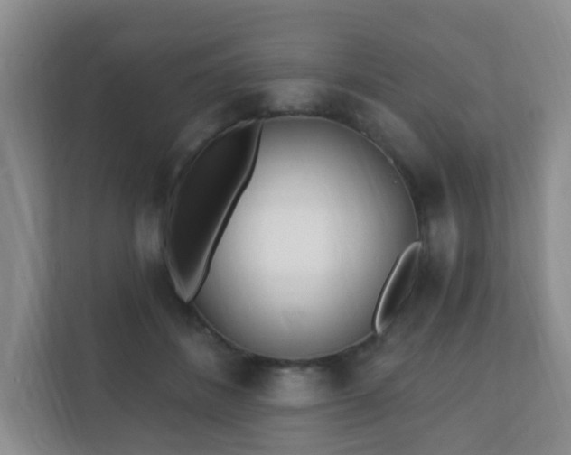 X0000112390508200908201545