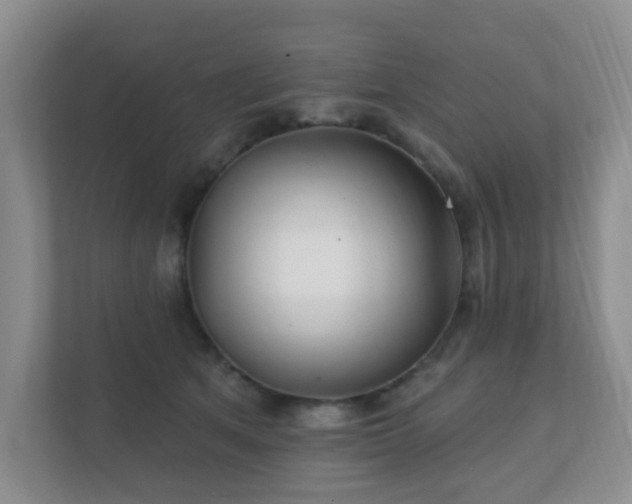 X0000112390513200908201545