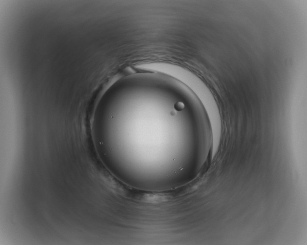 X0000112390520200908201545