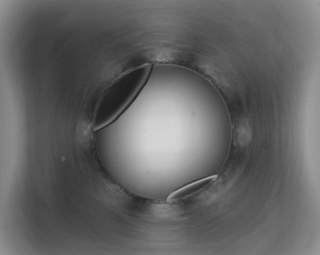 X0000112390521200908201545