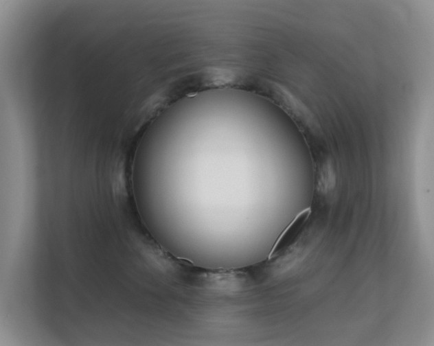 X0000112390524200908201545