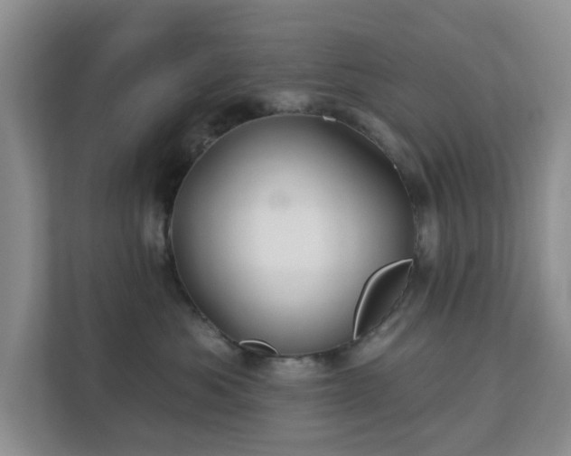 X0000112390525200908201545