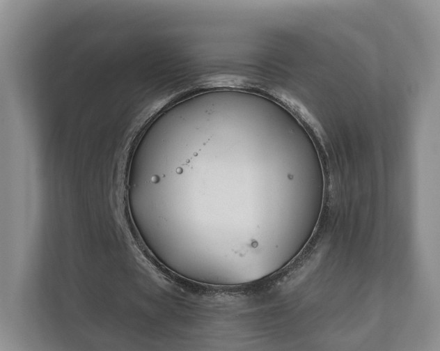 X0000112390529200908201544