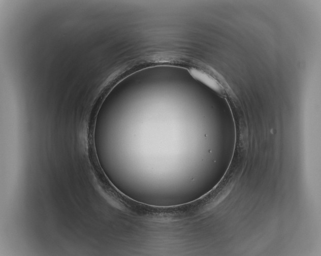 X0000112390530200908201544