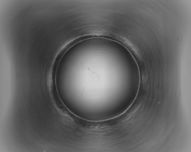 X0000112390532200908201544