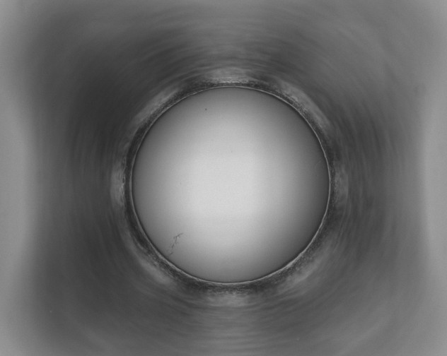 X0000112390533200908201544