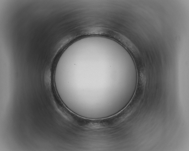 X0000112390534200908201544