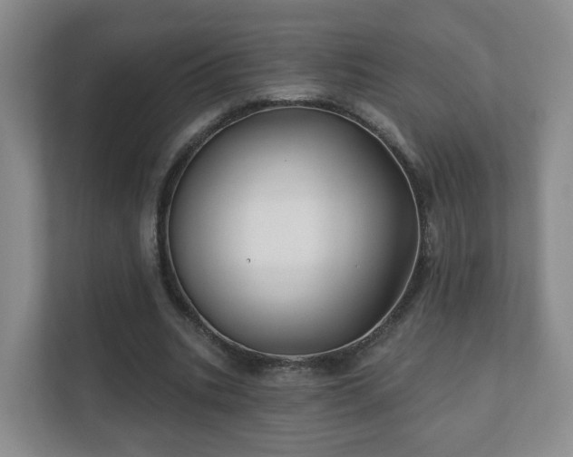 X0000112390535200908201544