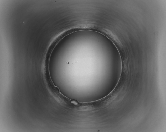 X0000112390536200908201544