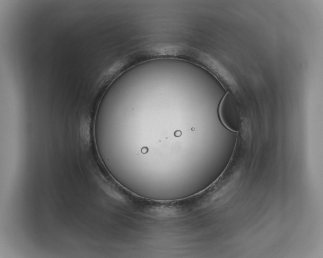 X0000112390537200908201544