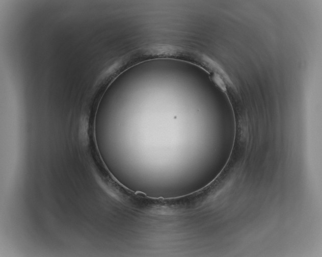 X0000112390538200908201544