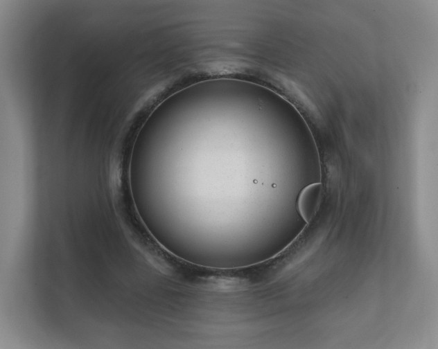 X0000112390539200908201544