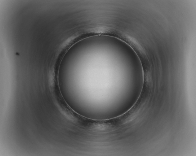 X0000112390540200908201544