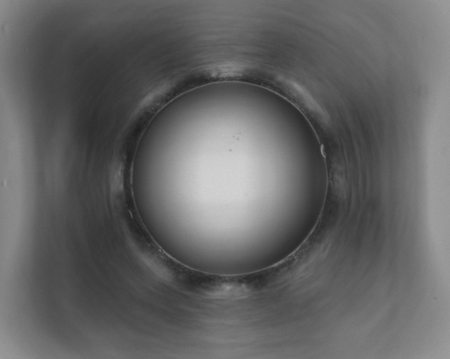 X0000112390543200908201544