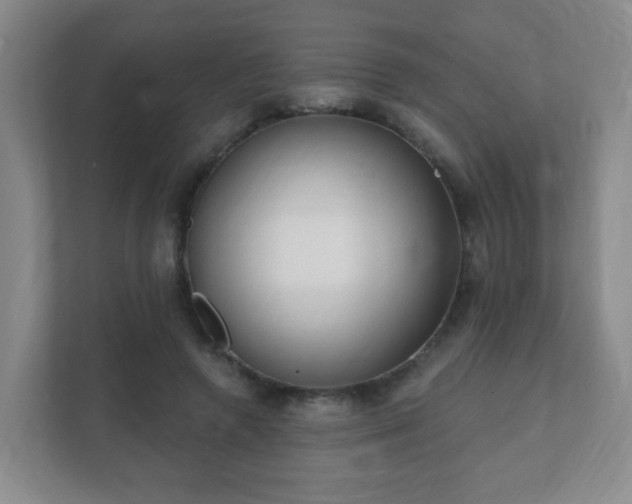 X0000112390546200908201544