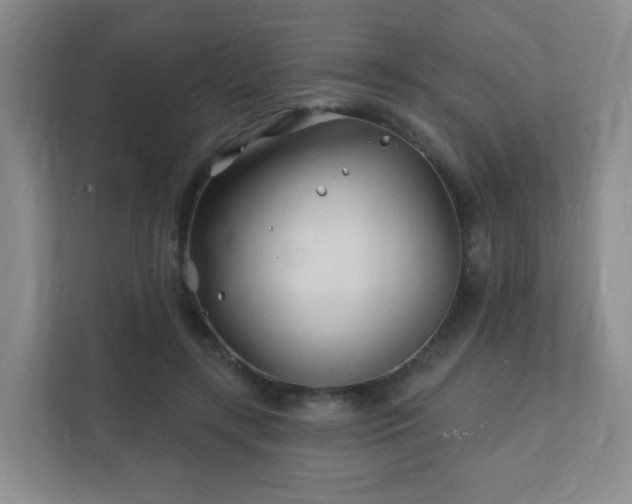 X0000112390547200908201544