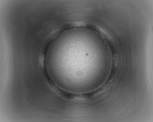 X0000112390550200908201544