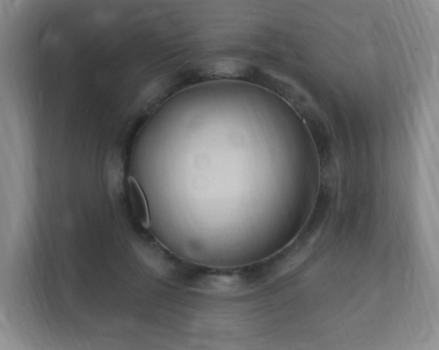 X0000112390552200908201544