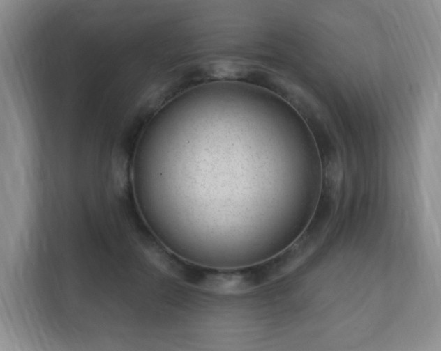 X0000112390554200908201544