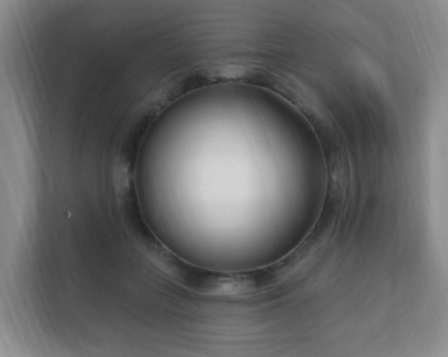 X0000112390555200908201544