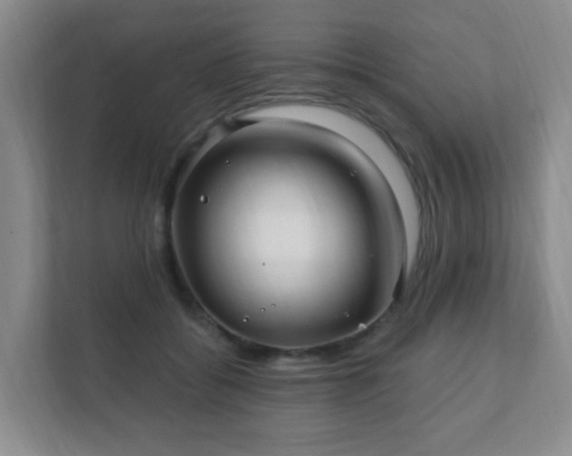 X0000112390556200908201544