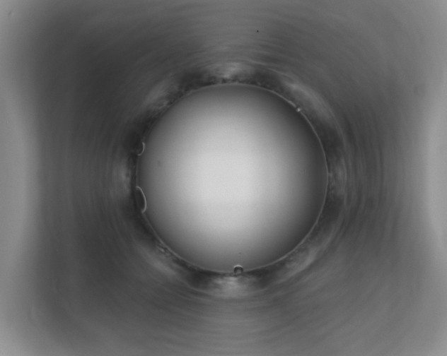 X0000112390558200908201544