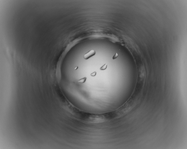 X0000112390559200908201544